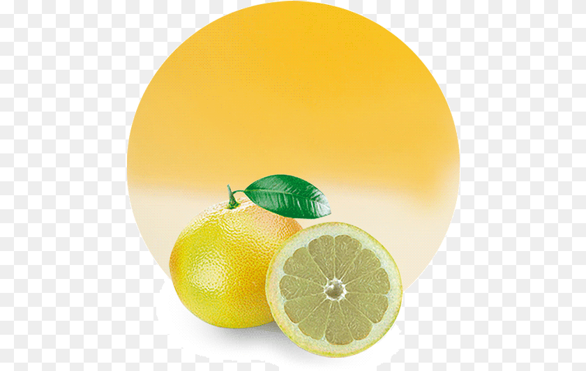 Lemon And White Grapefruit Look Alike, Citrus Fruit, Food, Fruit, Plant Clipart PNG