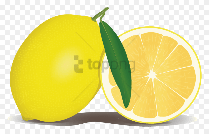850x524 Lemon Clipart Fruit Clip Art Photo Lemon Clipart, Citrus Fruit, Plant, Food HD PNG Download