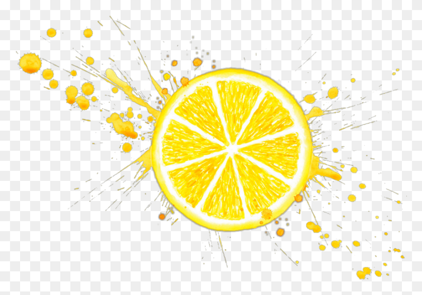 855x578 Descargar Png Limón Rodaja De Limón, Naranja, Amarillo Dorado, Salpicadura De Pintura, Fruta Cítrica, Planta Hd Png