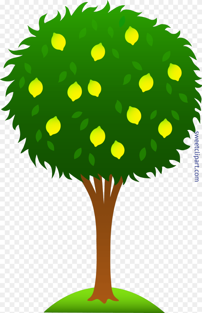 4325x6720 Lemon Tree Clip Art, Green, Plant, Sphere, Vegetation Transparent PNG