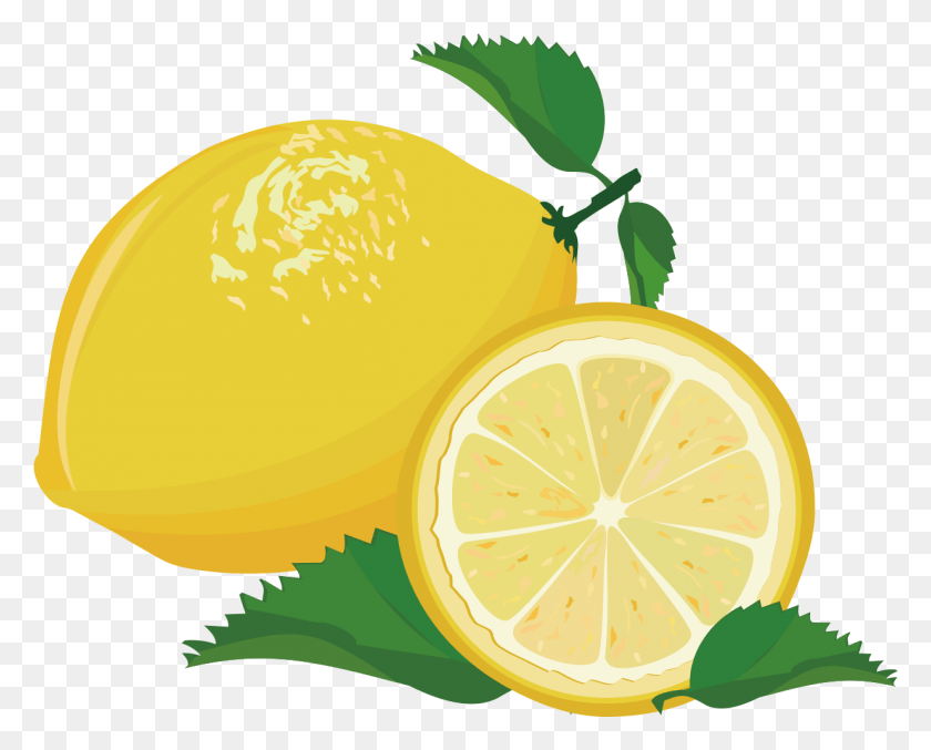 1234x977 Lemon Vector Trigo Limon, Plant, Citrus Fruit, Fruit HD PNG Download