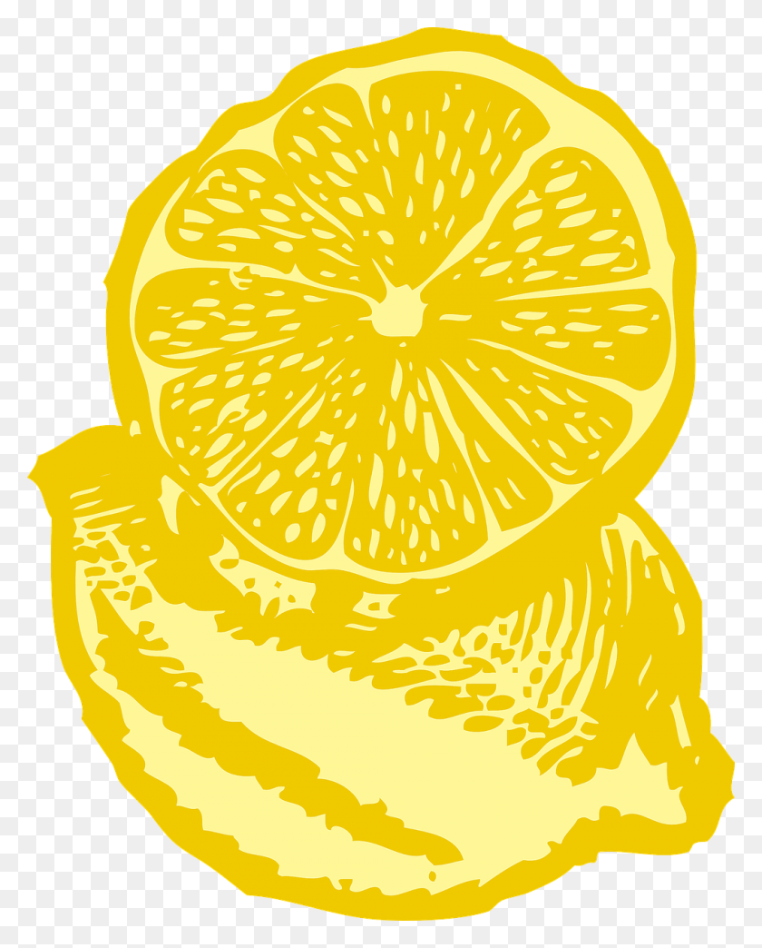 1014x1280 Lemon Yellow Slice Free Picture Cartoon Lemons, Plant, Citrus Fruit, Fruit HD PNG Download