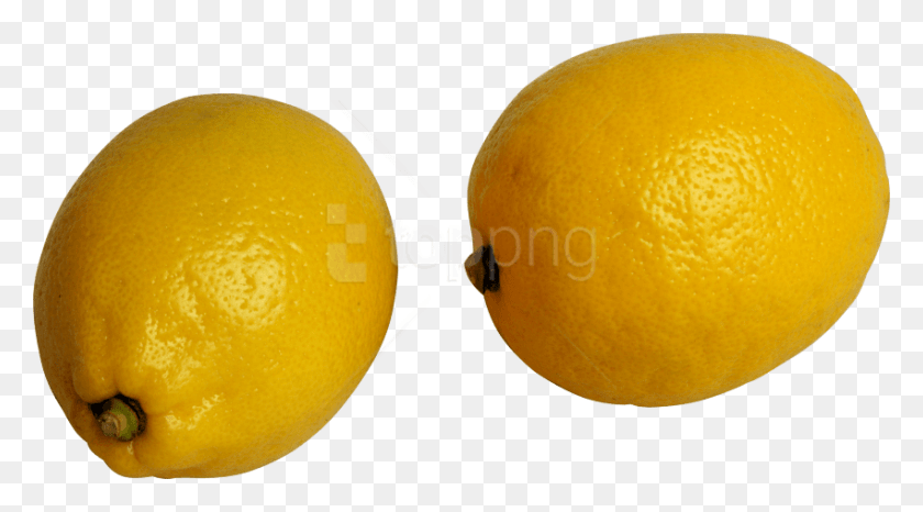 850x443 Lemons Images Background Lemon With Transparent Background, Plant, Citrus Fruit, Fruit HD PNG Download