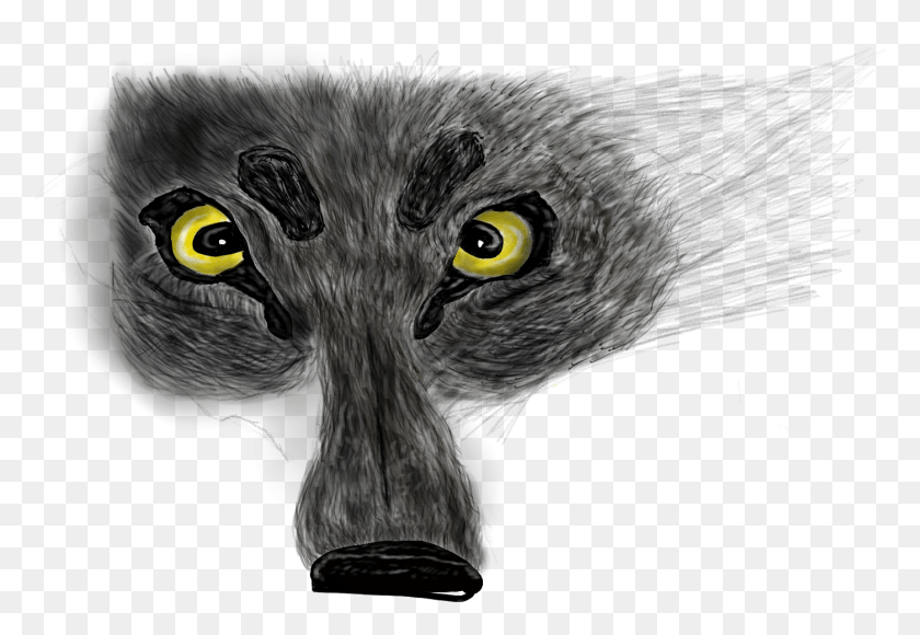 1399x934 Lemur Drawing Music Nebelung, Black Cat, Cat, Pet HD PNG Download