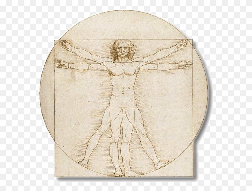 583x578 Leonardo Da Vinci Vitruvian Man Full Leonardo Da Vinci Vitruvian Man, Soil, Rug HD PNG Download