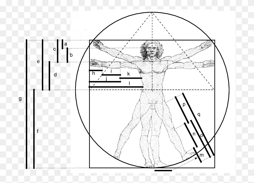 717x544 Leonardo Da Vinci39s Interpretation Of Vitruvius Drawing, Plot, Person, Human HD PNG Download