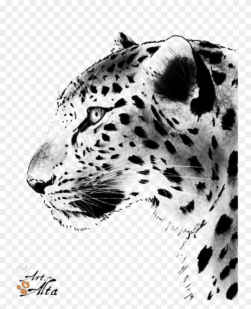 752x974 Леопардовая Морда Рисунок Леопарда Черно-Белый, Пантера, Дикая Природа, Млекопитающее Hd Png Скачать