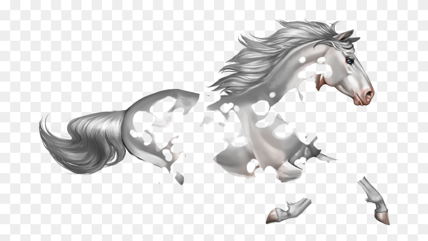 694x413 Leopard Stallion, Person, Human, Horse HD PNG Download