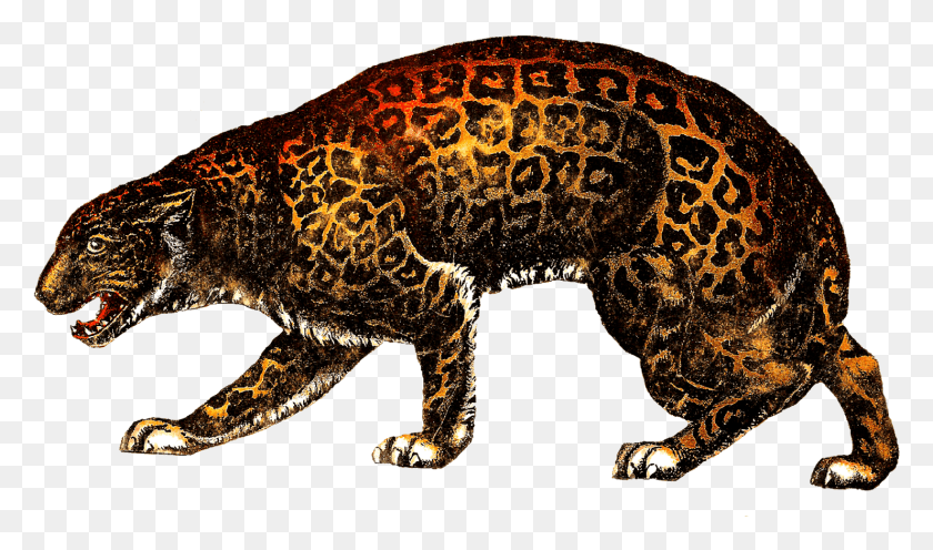 1480x829 Descargar Png Leopardo De Circo Tigre Vintage, Mamífero, Animal, La Vida Silvestre Hd Png