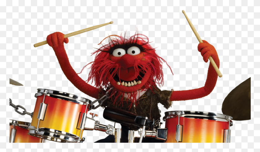 1201x665 Leor Galil On Twitter Animal Muppets Drummer, Musician, Musical Instrument, Percussion HD PNG Download