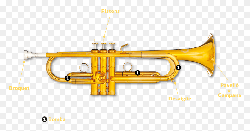 1356x665 Les Parts De La Trompeta Sn Trumpet, Horn, Brass Section, Musical Instrument HD PNG Download