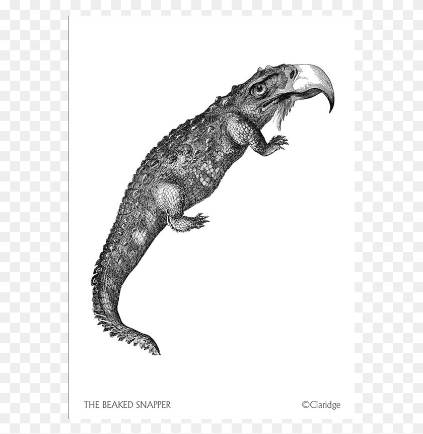 569x801 Lagarto, Lagarto, Reptil, Animal, Lesothosaurus Hd Png