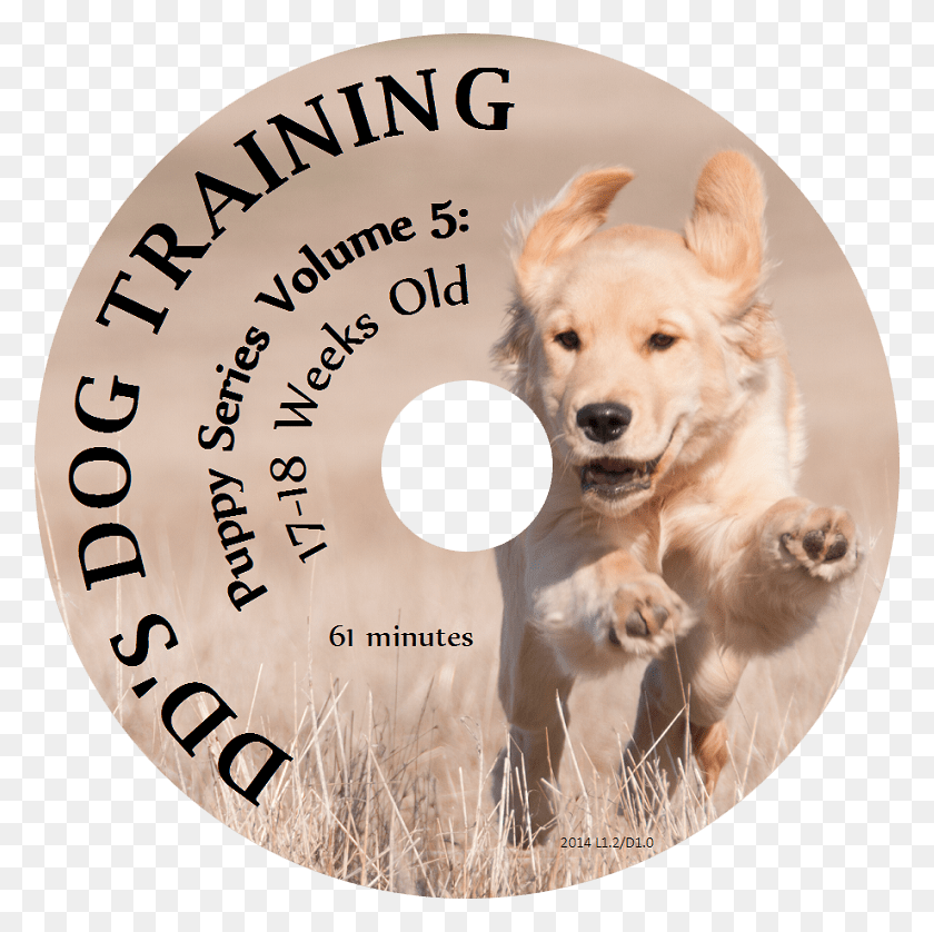 778x778 Lección De Perro De Compañía, Mascota, Canino, Animal Hd Png