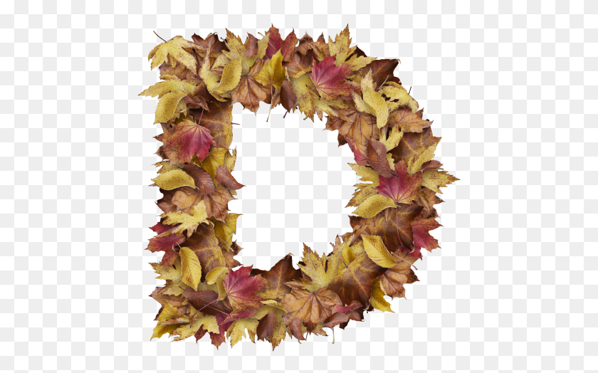 455x464 Letter D From Dry Leaves Wreath, Plant, Leaf, Petal HD PNG Download