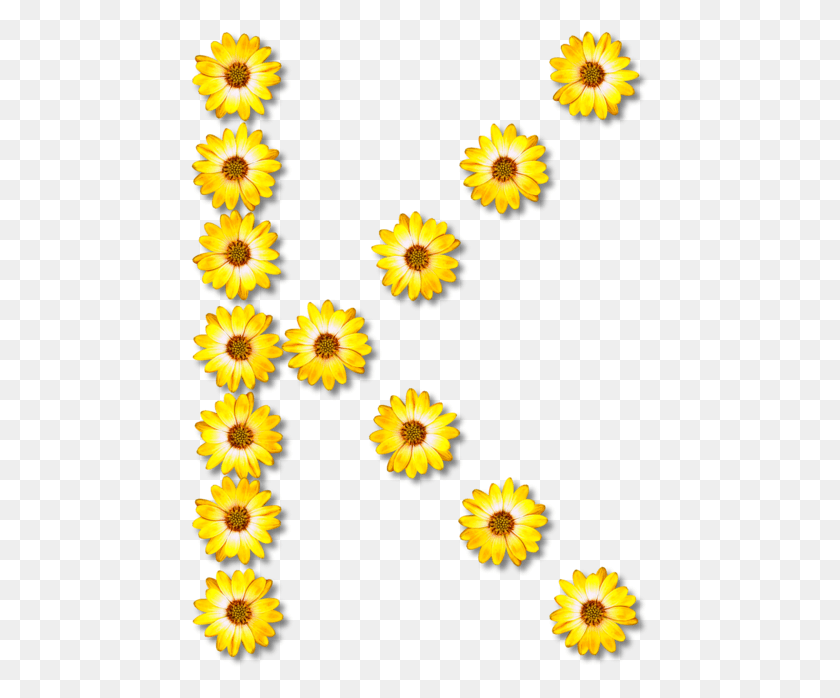 460x638 Буква Греческого Алфавита Обыкновенный Подсолнух Huruf K, Растение, Цветок, Цветение Png Скачать