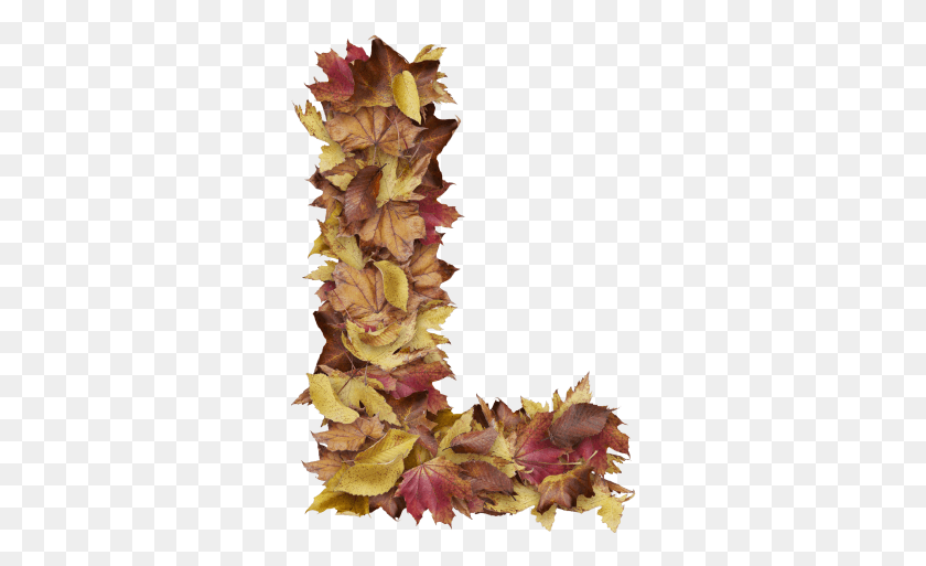 314x453 Буква L Из Сухих Листьев Искусственный Цветок, Лист, Растение, Дерево Hd Png Скачать
