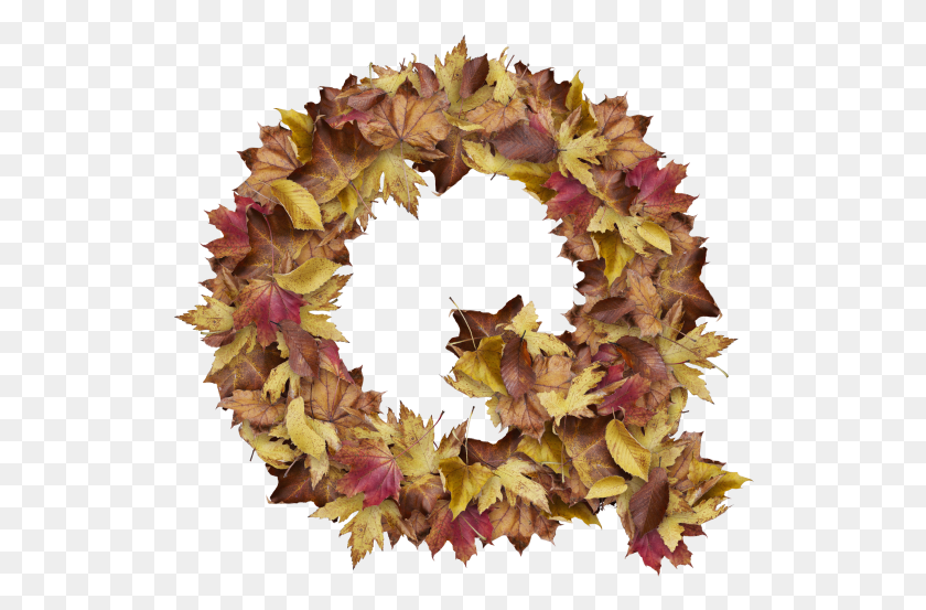 528x493 Letter Q From Dry Leaves Wreath, Leaf, Plant, Flower HD PNG Download
