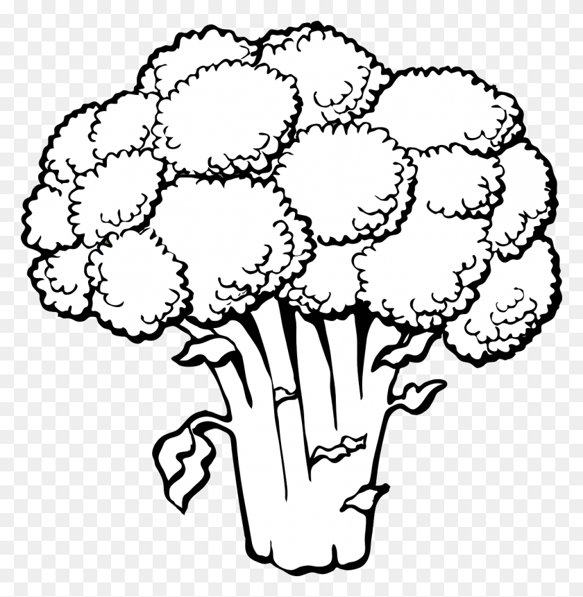 1246x1280 Lettuce Clipart 2 Famclipart Broccoli Coloring Page, Plant, Cauliflower, Vegetable HD PNG Download