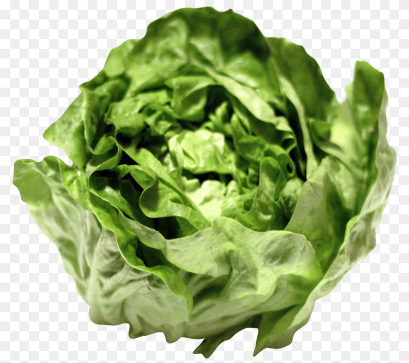 1070x949 Lettuce Image, Food, Plant, Produce, Vegetable Transparent PNG
