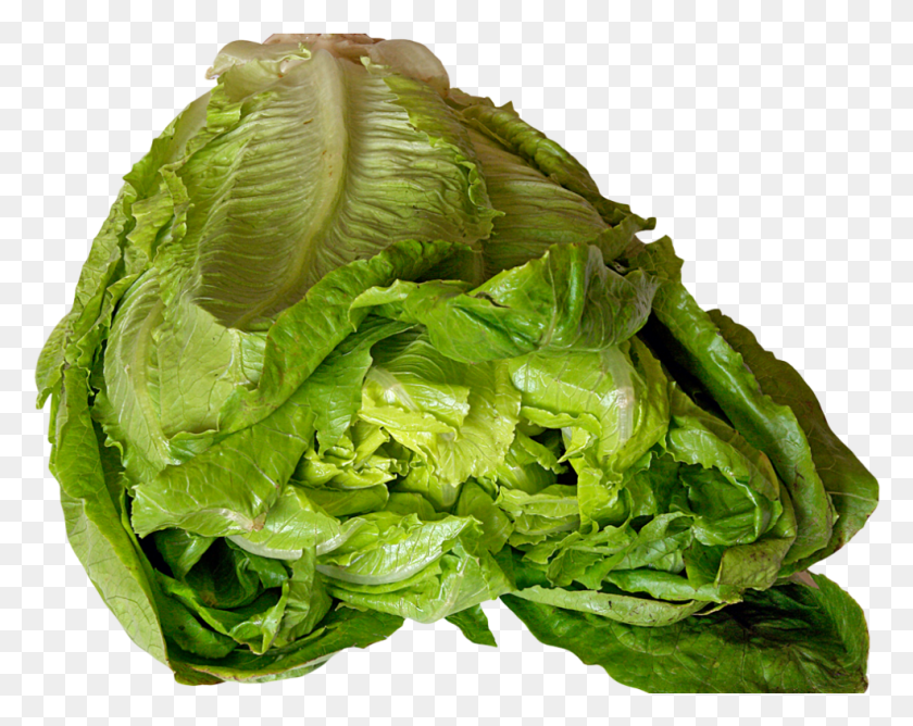 985x769 Lettuce Image Lettuce, Plant, Vegetable, Food HD PNG Download