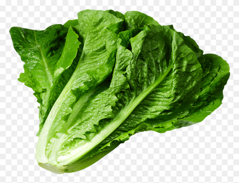 869x650 Lettuce Lettuce, Plant, Vegetable, Food HD PNG Download