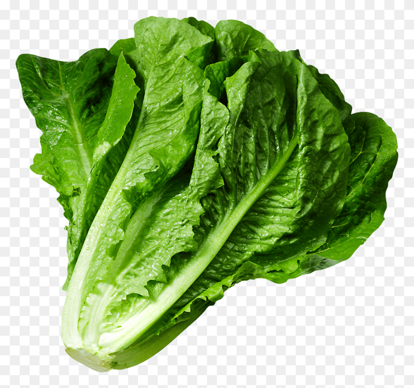 1084x1009 Lettuce Picture Lettuce, Plant, Vegetable, Food HD PNG Download