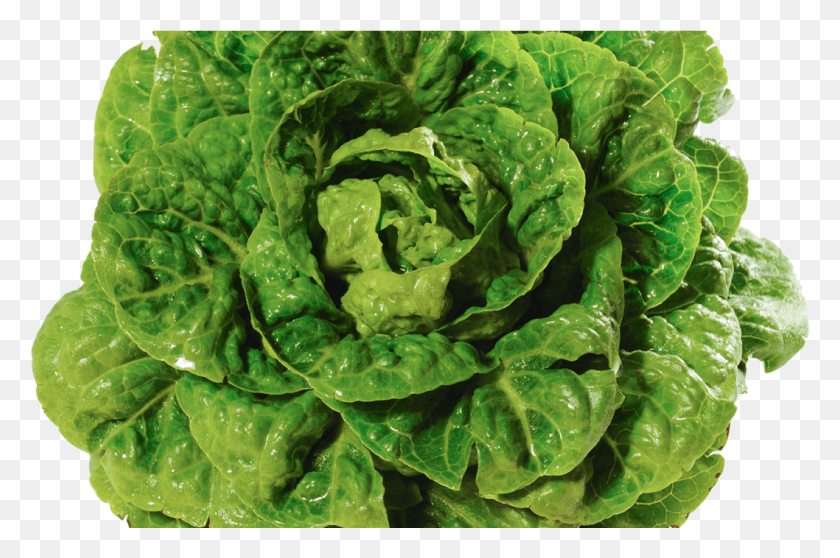 1058x676 Lettuce Romaine Spinach, Plant, Vegetable, Food HD PNG Download