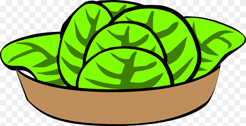960x491 Lettuce Salad Explore Pictures, Food, Produce, Leafy Green Vegetable, Plant Clipart PNG