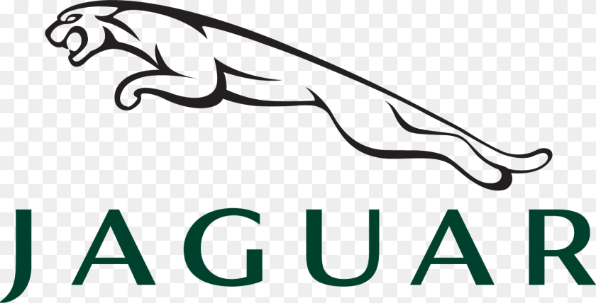 Lexus Logo Loadtve, Animal, Fish, Sea Life, Shark PNG