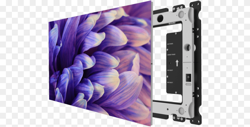 Leyard Directlight Dl2, Dahlia, Flower, Plant, Electronics Clipart PNG