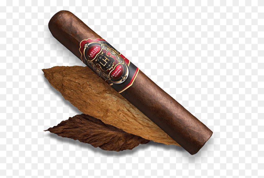 593x507 Descargar Pnglh Premium Cigarros Colorado Cigar, Personas, Persona, Humano Hd Png