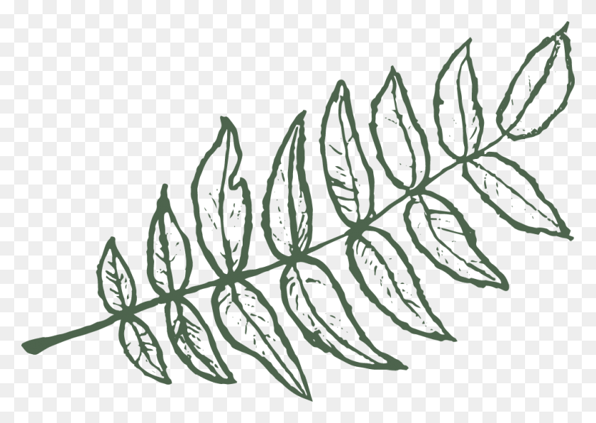 1000x688 Lhl Leaf Instaright Drawing, Растение, Цветочный Дизайн, Узор Hd Png Скачать