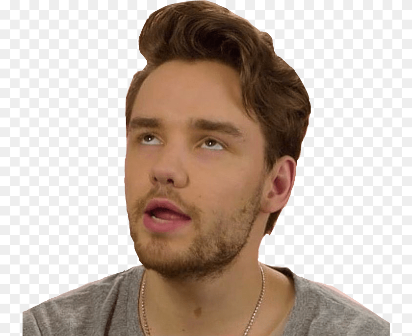Liam Payne Liampayne Liam Payne Liammalik Liampalik Human, Adult, Body Part, Face, Head Sticker PNG