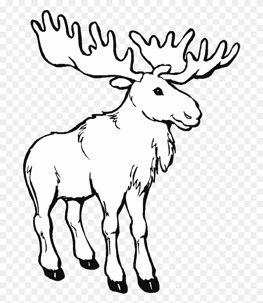 694x906 Library Animals Printable Coloring Pages, Mammal, Animal, Moose HD PNG Download