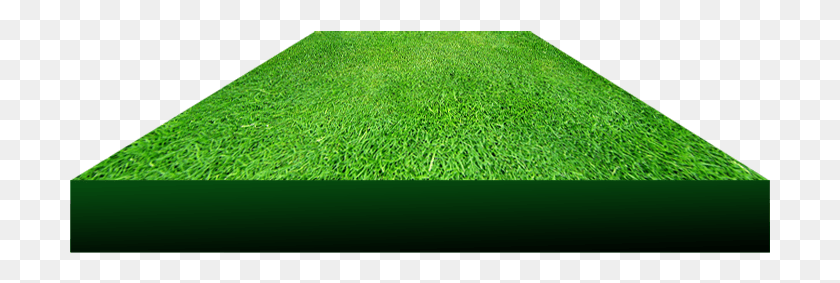 701x223 Library D File Use Freely By 3d Grass Lawn, Plant, Rug, Sport HD PNG Download