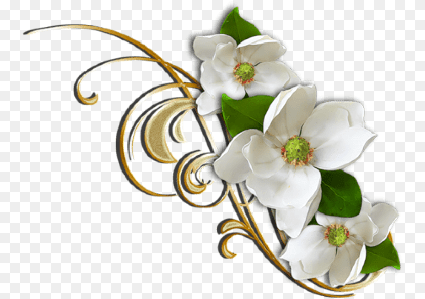 755x591 Library Of White Flower Graphic White Gold Flower, Plant, Anemone, Art, Floral Design Transparent PNG