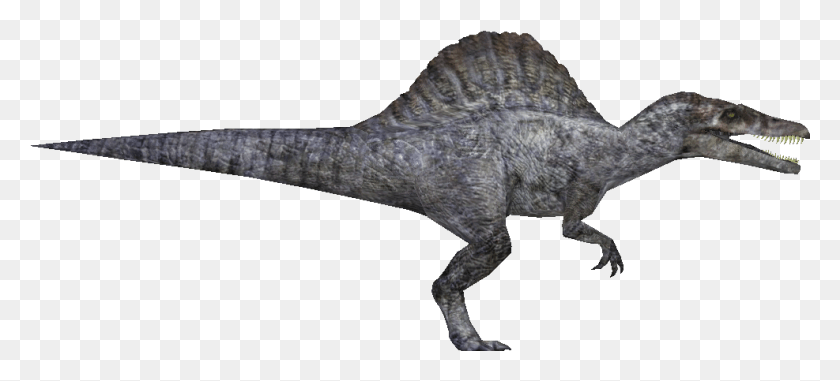 987x407 Descargar Png Biblioteca Wiki Spinosaurus Tyrannosaurus, Hacha, Herramienta, Dinosaurio Hd Png