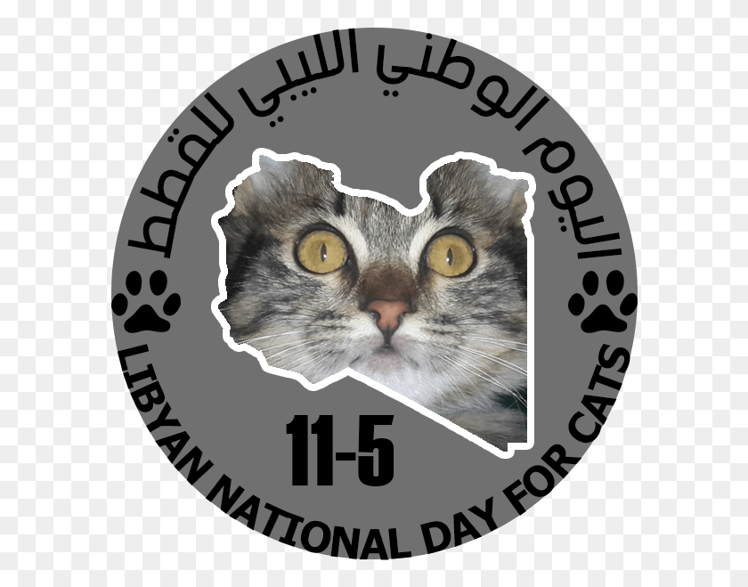 592x599 Día Nacional De Libia Para Gatos California Spangled, Etiqueta, Texto, Gato Hd Png