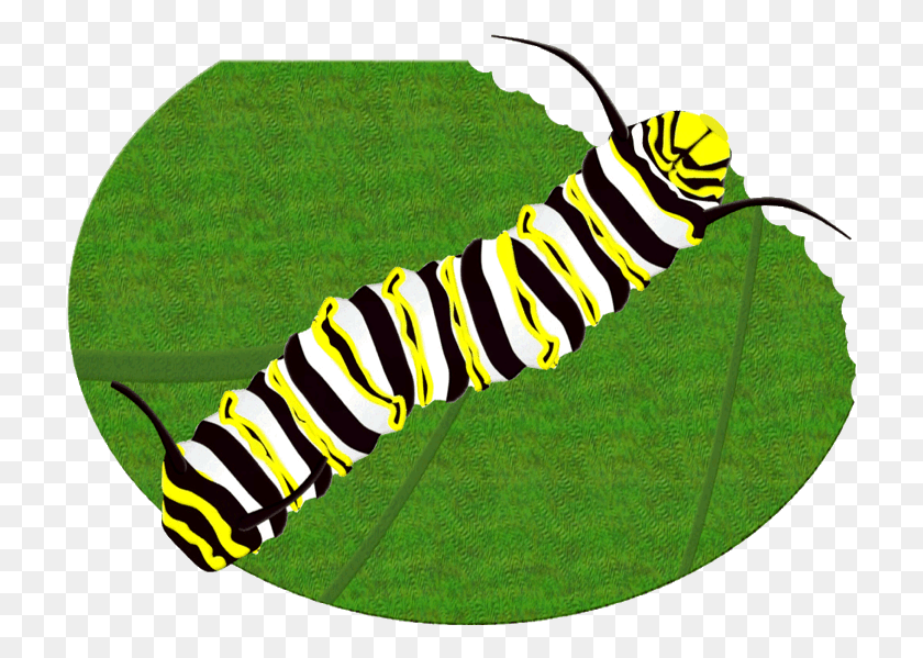 719x539 License Free Clip Art Monarch Butterfly Caterpillar, Person, Human, Animal HD PNG Download