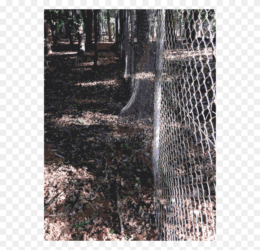 556x750 Lichtscheid Forest Tree Fence Sculpture Chain Link Fencing, Plant, Tree Trunk, Animal HD PNG Download