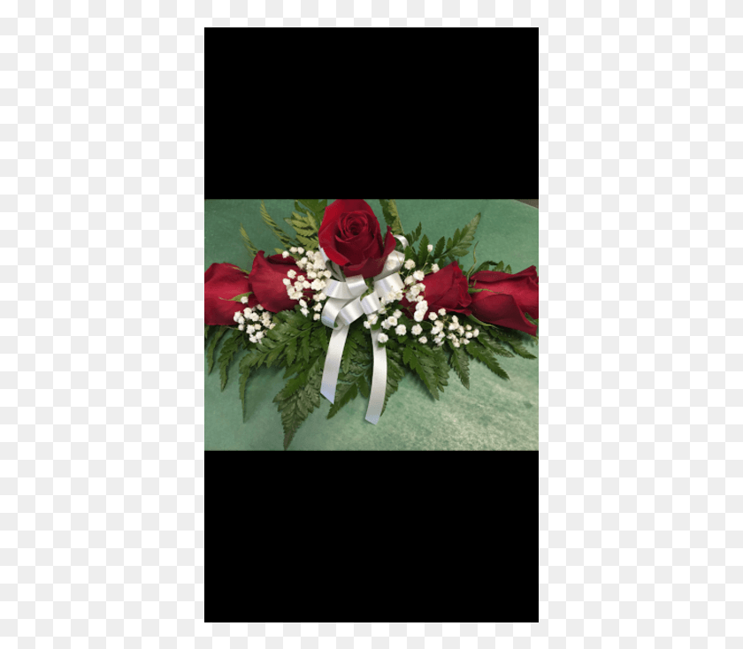 379x674 Lid Corsage Garden Roses, Plant, Rose, Flower HD PNG Download