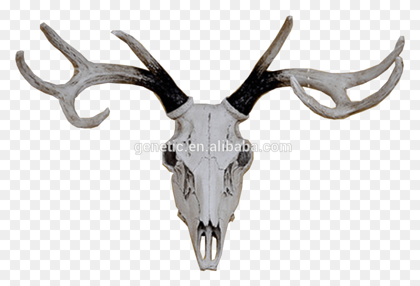 1043x685 Life Color Vivid Animal Sculpture Room Decoration Black Reindeer, Antler, Antelope, Wildlife HD PNG Download