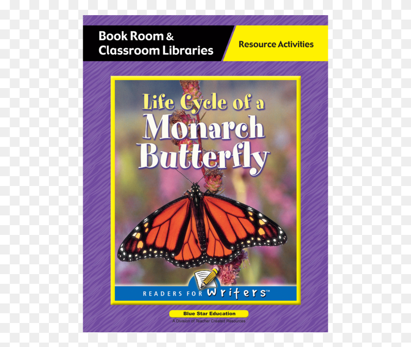 503x649 Descargar Png Ciclo De Vida De Una Mariposa Monarca Mariposa Monarca, Cartel, Publicidad, Monarca Hd Png