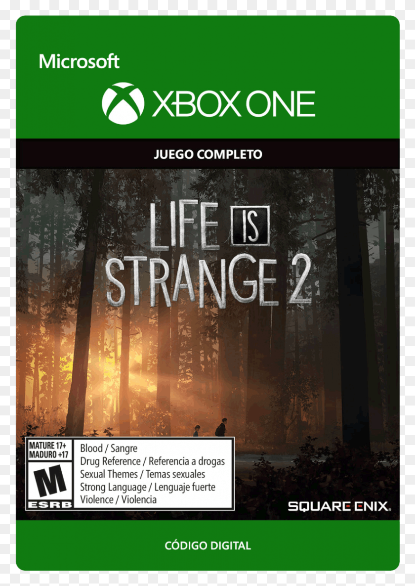 822x1186 Life Is Strange 2 Temporada Completa Book Cover, Person, Vegetation, Plant HD PNG Download