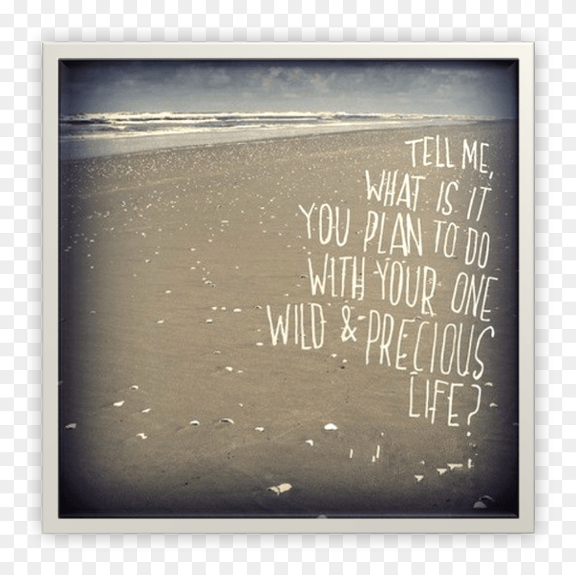 805x805 Life Plan Beach Sand, Text, Nature, Shoreline HD PNG Download
