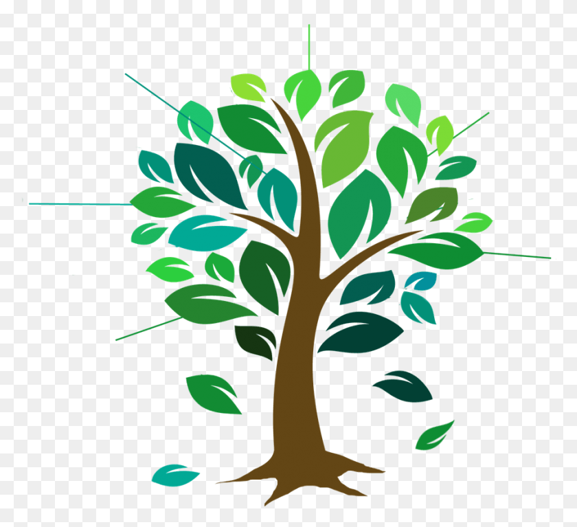 899x816 Lifetree Rti Donor Services, Дерево, Растение, Графика Hd Png Скачать