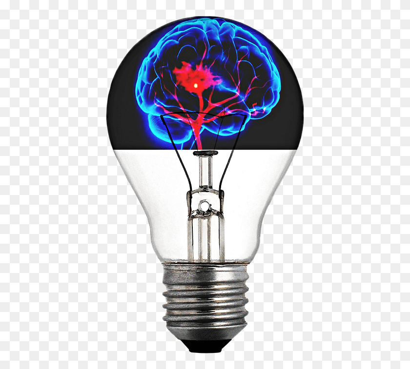 411x697 Light Bulb Brain Structure Of A Bulb, Light, Lamp, Lightbulb HD PNG Download