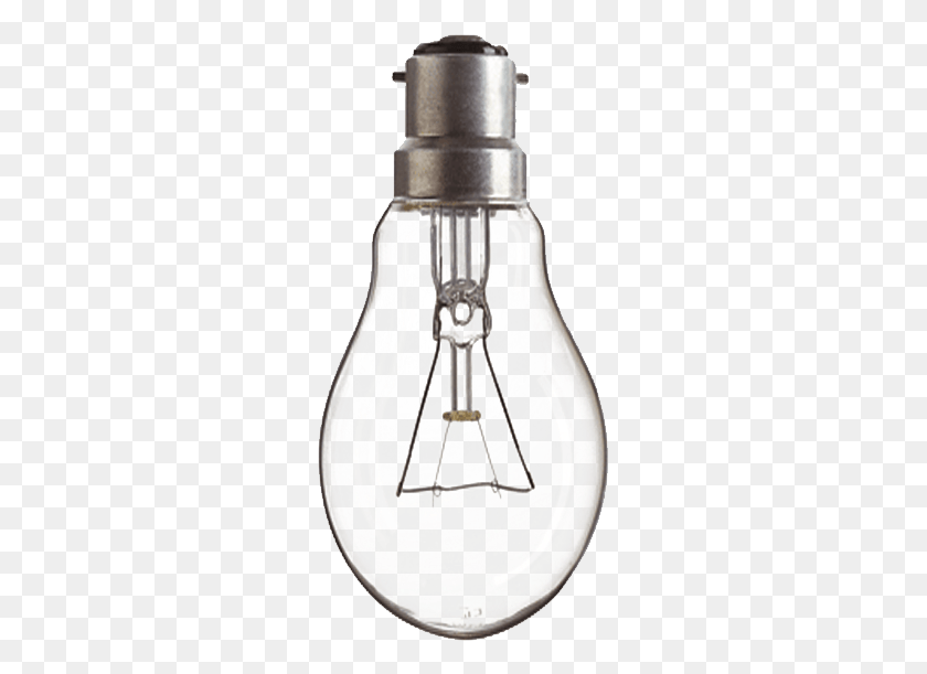 265x551 Light Bulb Transparent Background Light On A Transparent Background, Lightbulb, Mixer, Appliance HD PNG Download
