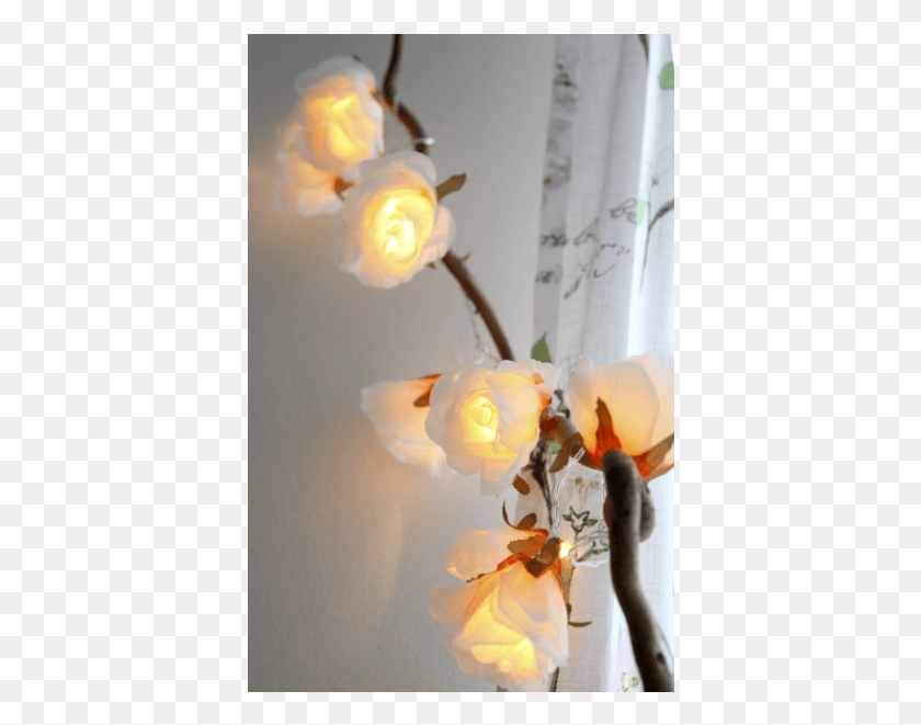 390x601 Light Chain Rosa Garden Roses, Ikebana, Vase HD PNG Download