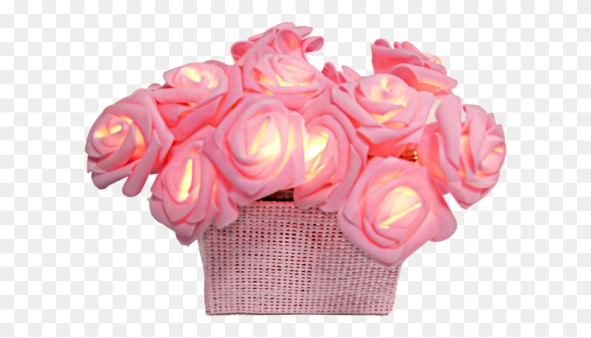 601x421 Легкая Цепь Розового Куста Гирлянда, Роза, Цветок, Растение Hd Png Скачать